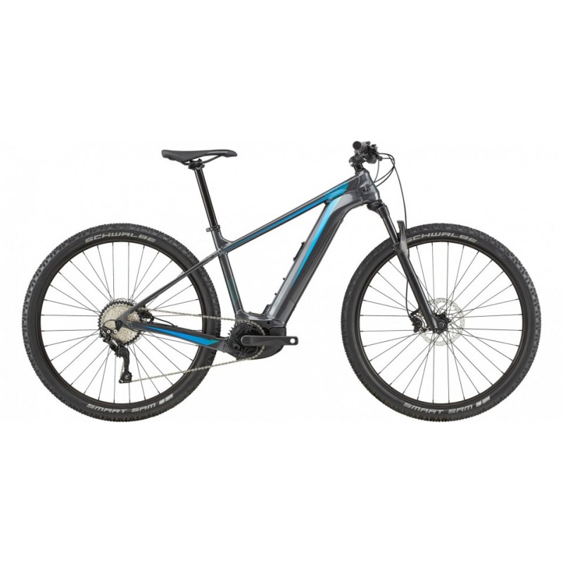 Cannondale TRAIL Neo 2 L 2020 GRA 29